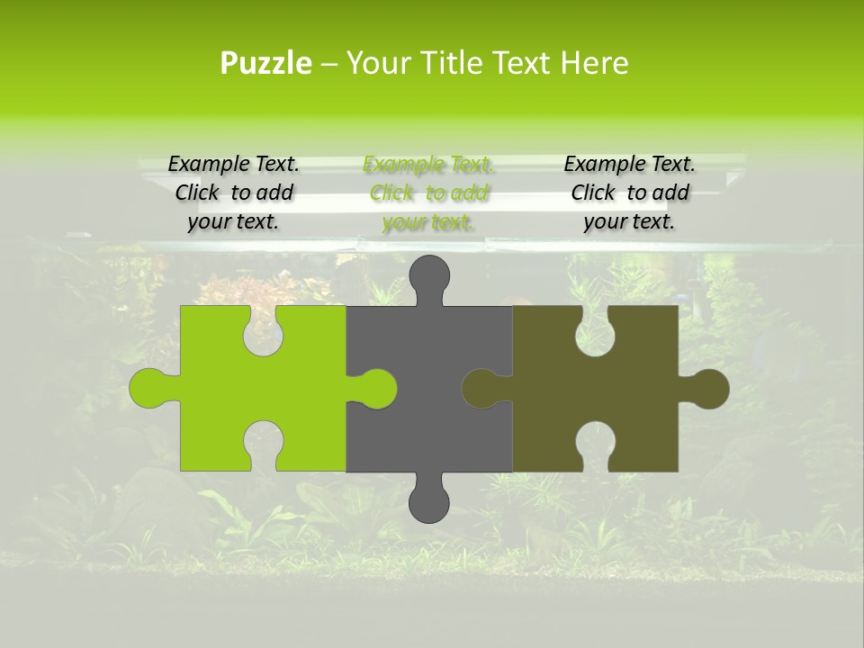 A Fish Tank Filled With Lots Of Green Plants PowerPoint Template