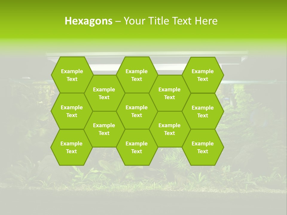 A Fish Tank Filled With Lots Of Green Plants PowerPoint Template