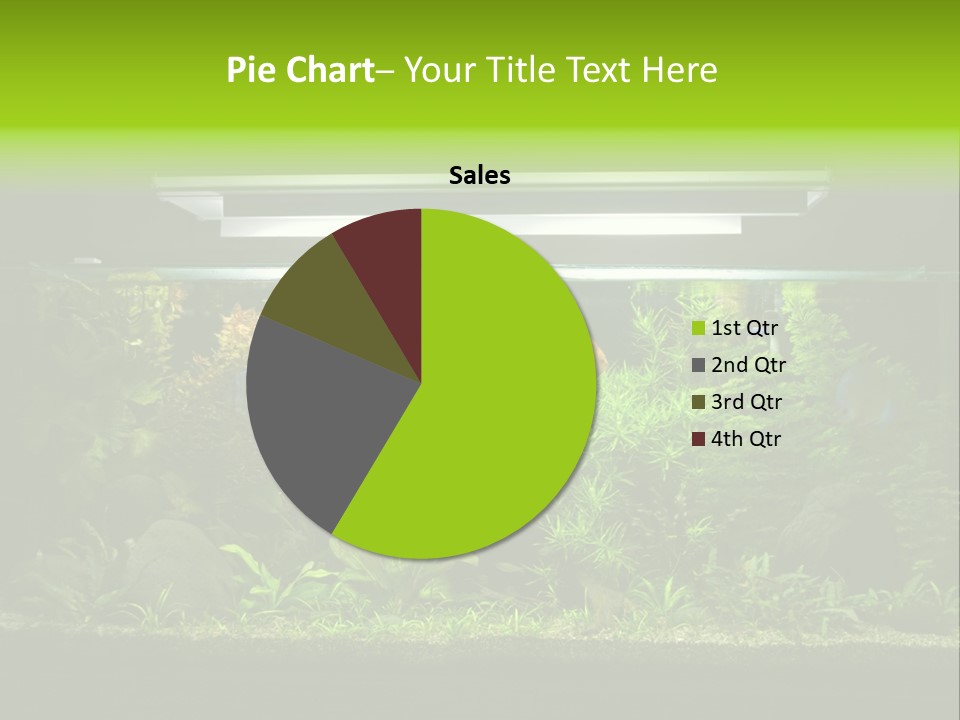 A Fish Tank Filled With Lots Of Green Plants PowerPoint Template