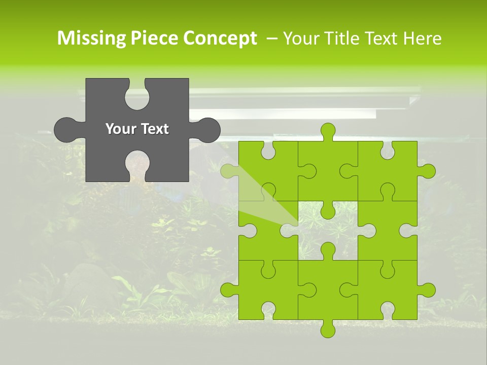 A Fish Tank Filled With Lots Of Green Plants PowerPoint Template