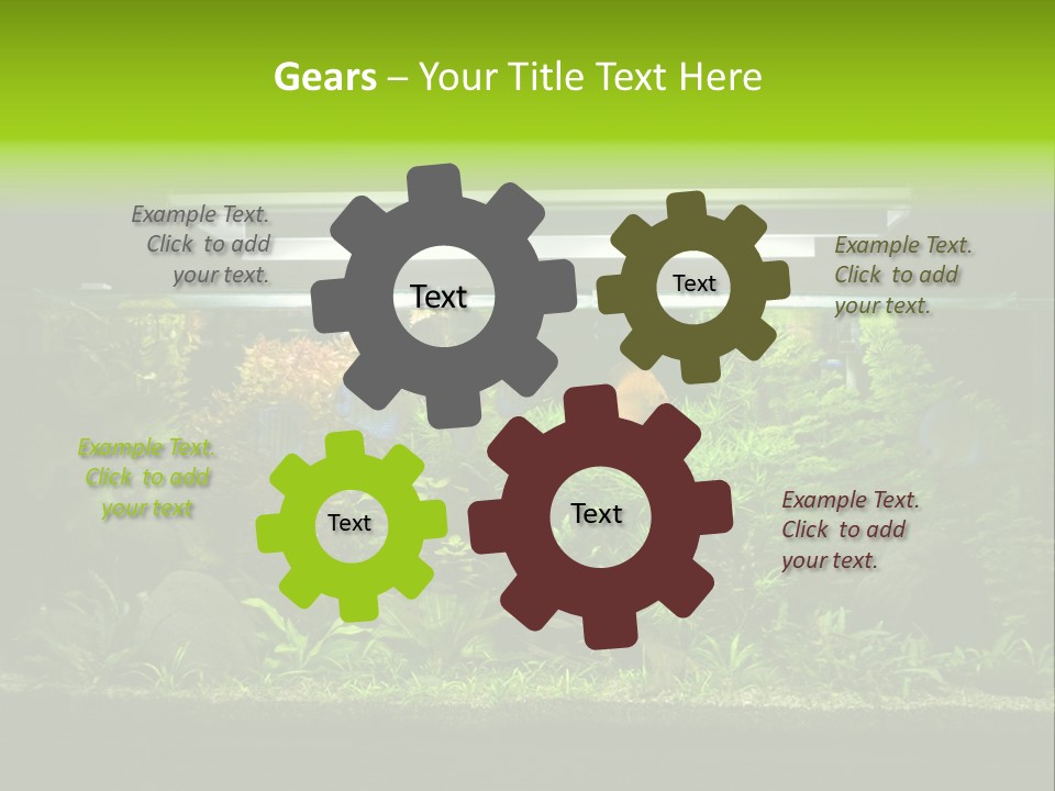 A Fish Tank Filled With Lots Of Green Plants PowerPoint Template