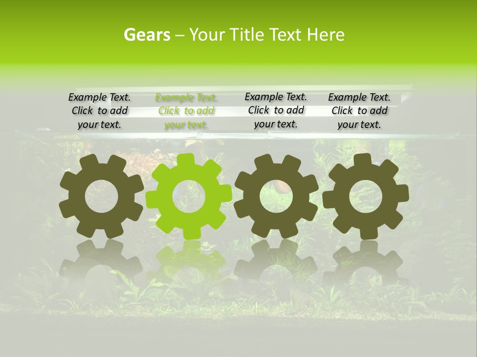 A Fish Tank Filled With Lots Of Green Plants PowerPoint Template