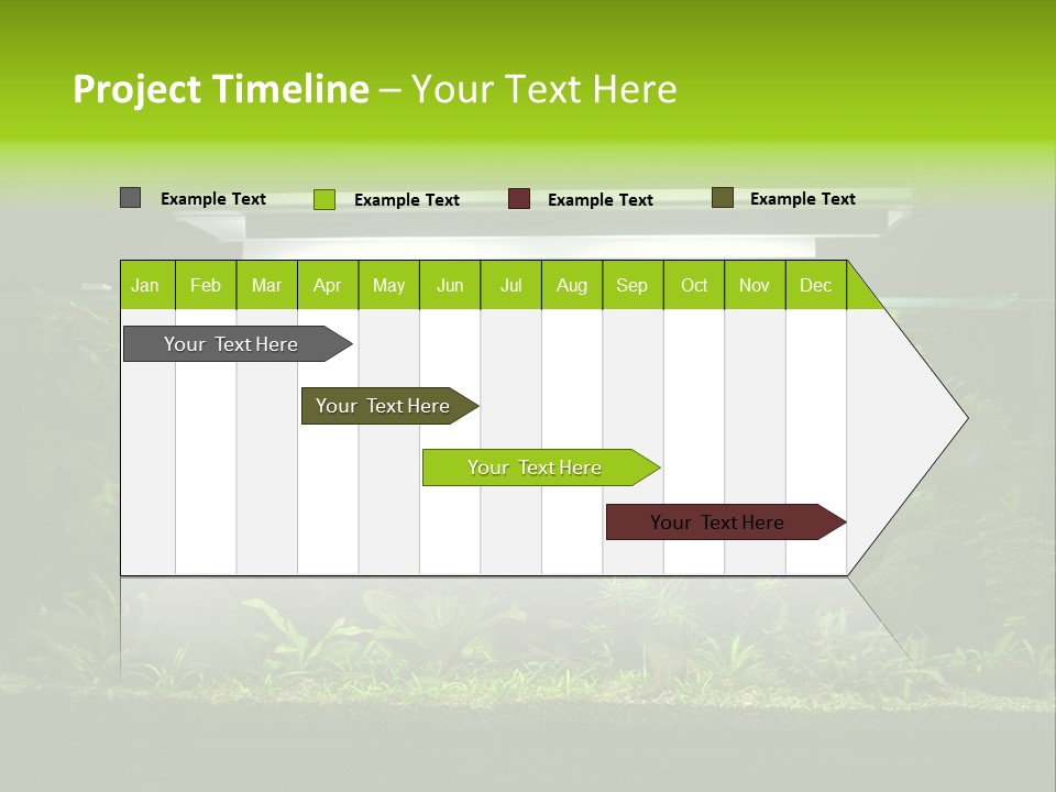 A Fish Tank Filled With Lots Of Green Plants PowerPoint Template