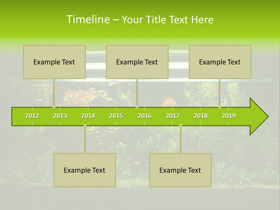 A Fish Tank Filled With Lots Of Green Plants PowerPoint Template