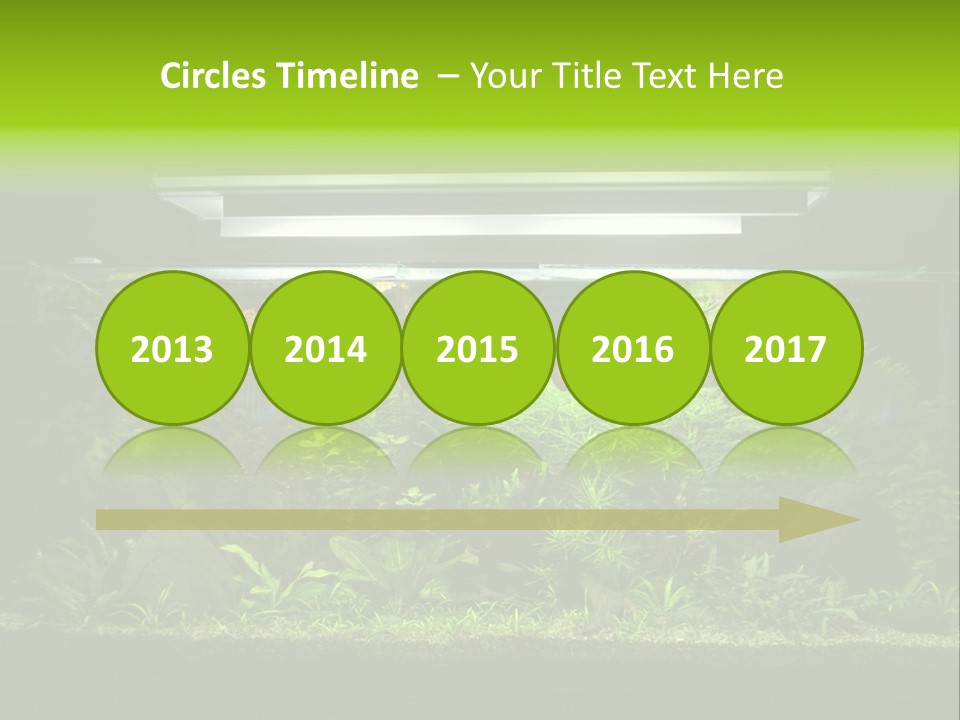 A Fish Tank Filled With Lots Of Green Plants PowerPoint Template