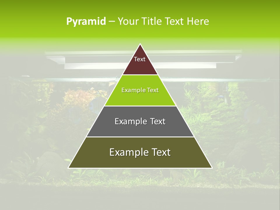 A Fish Tank Filled With Lots Of Green Plants PowerPoint Template