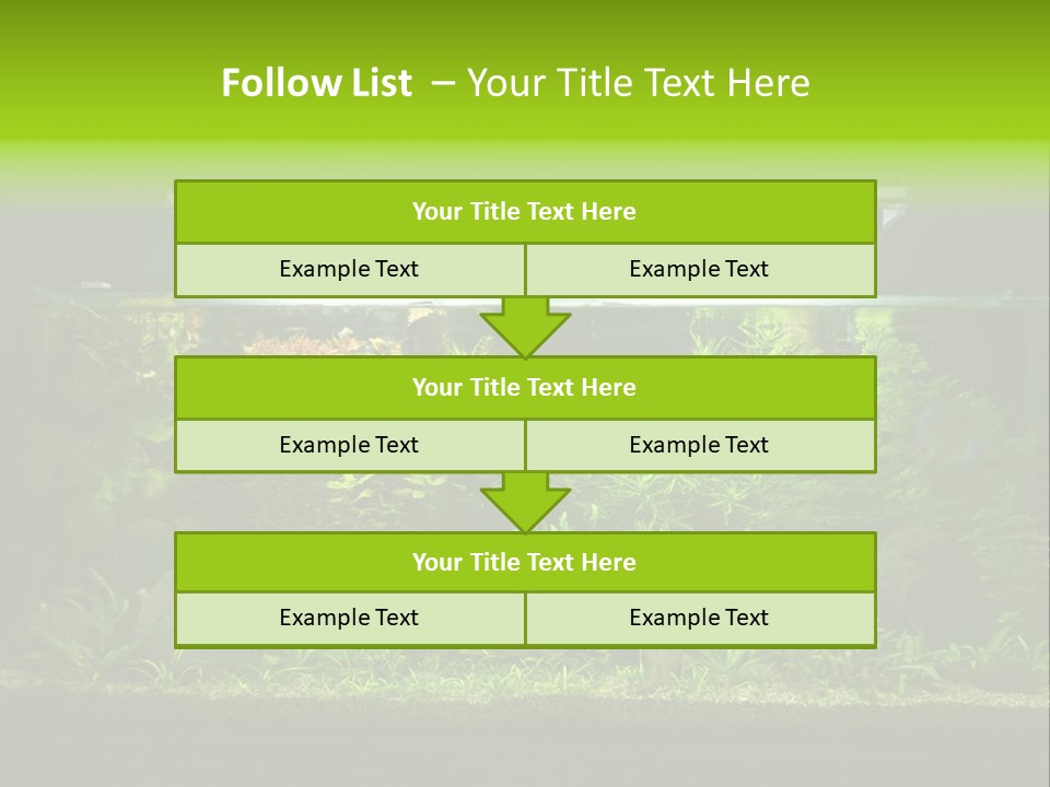 A Fish Tank Filled With Lots Of Green Plants PowerPoint Template