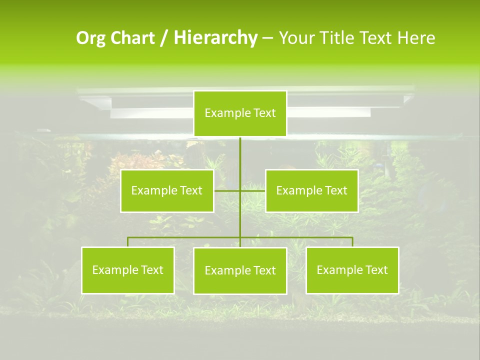 A Fish Tank Filled With Lots Of Green Plants PowerPoint Template