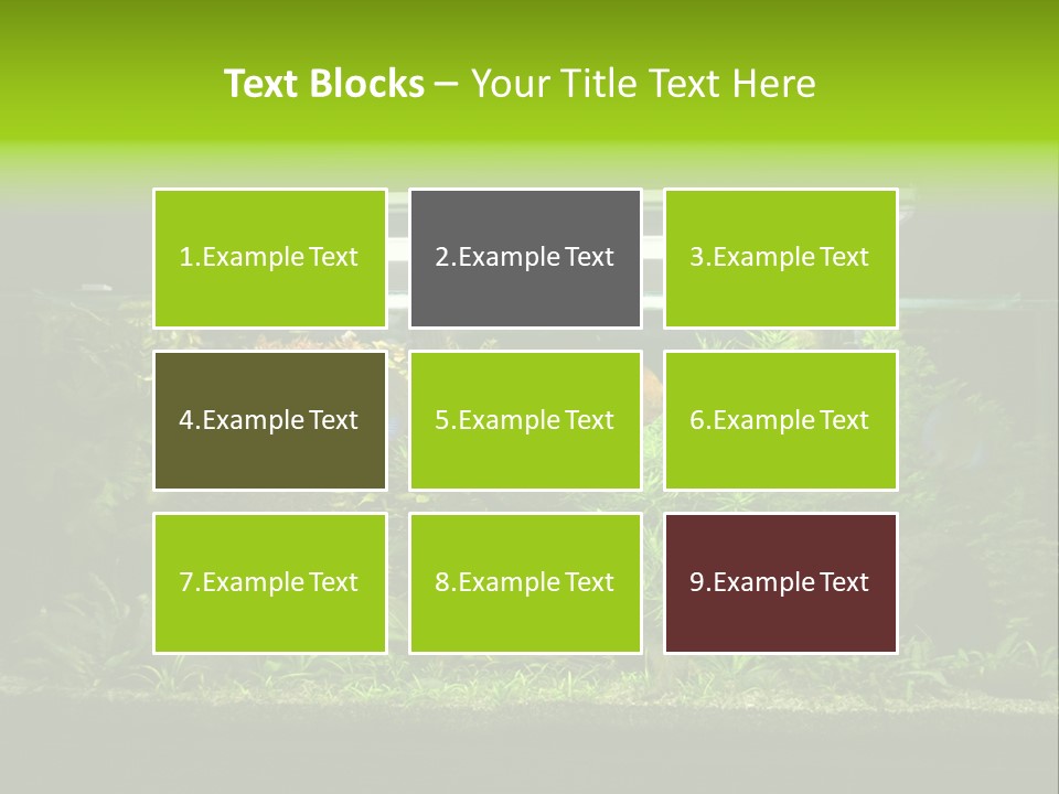 A Fish Tank Filled With Lots Of Green Plants PowerPoint Template