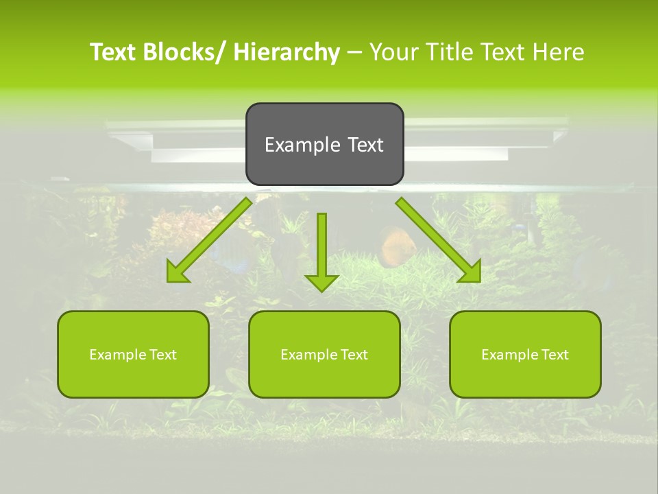 A Fish Tank Filled With Lots Of Green Plants PowerPoint Template