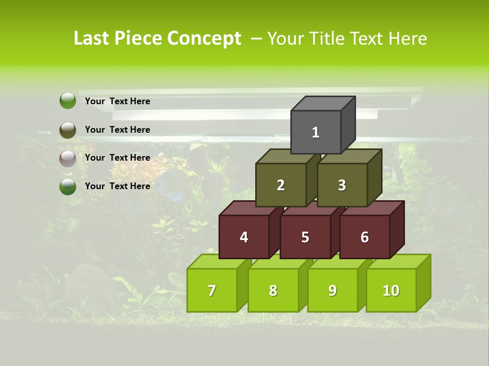 A Fish Tank Filled With Lots Of Green Plants PowerPoint Template