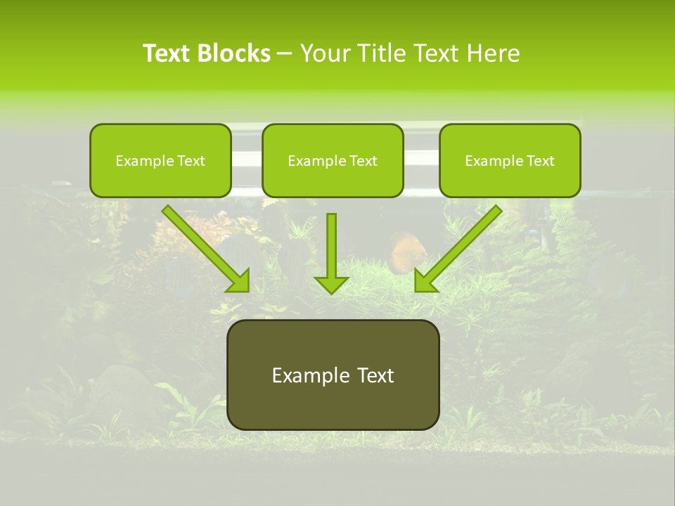 A Fish Tank Filled With Lots Of Green Plants PowerPoint Template
