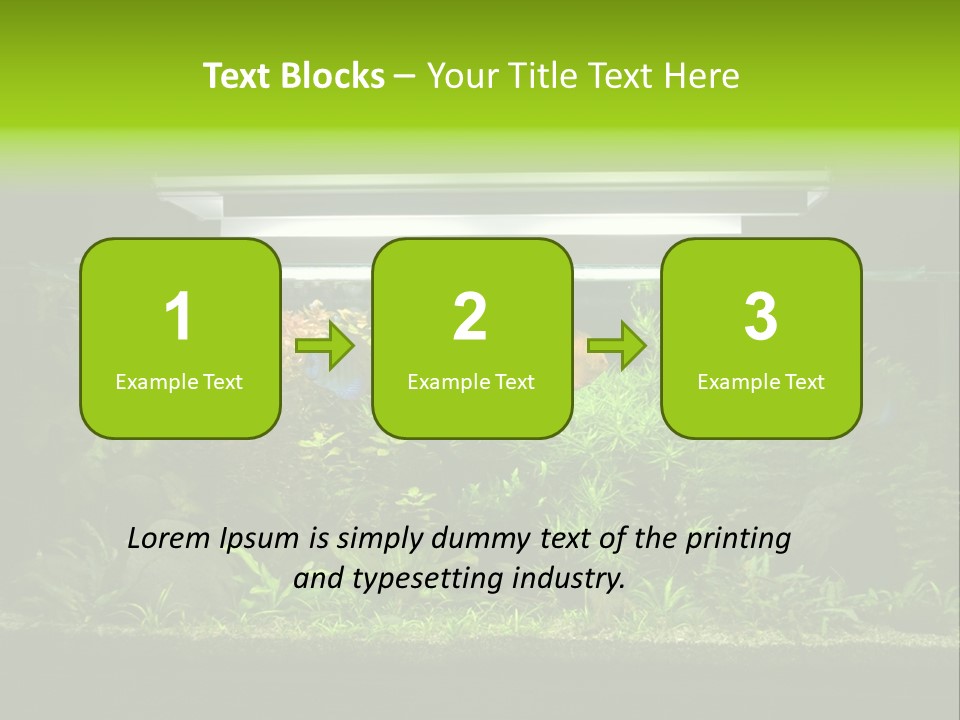 A Fish Tank Filled With Lots Of Green Plants PowerPoint Template