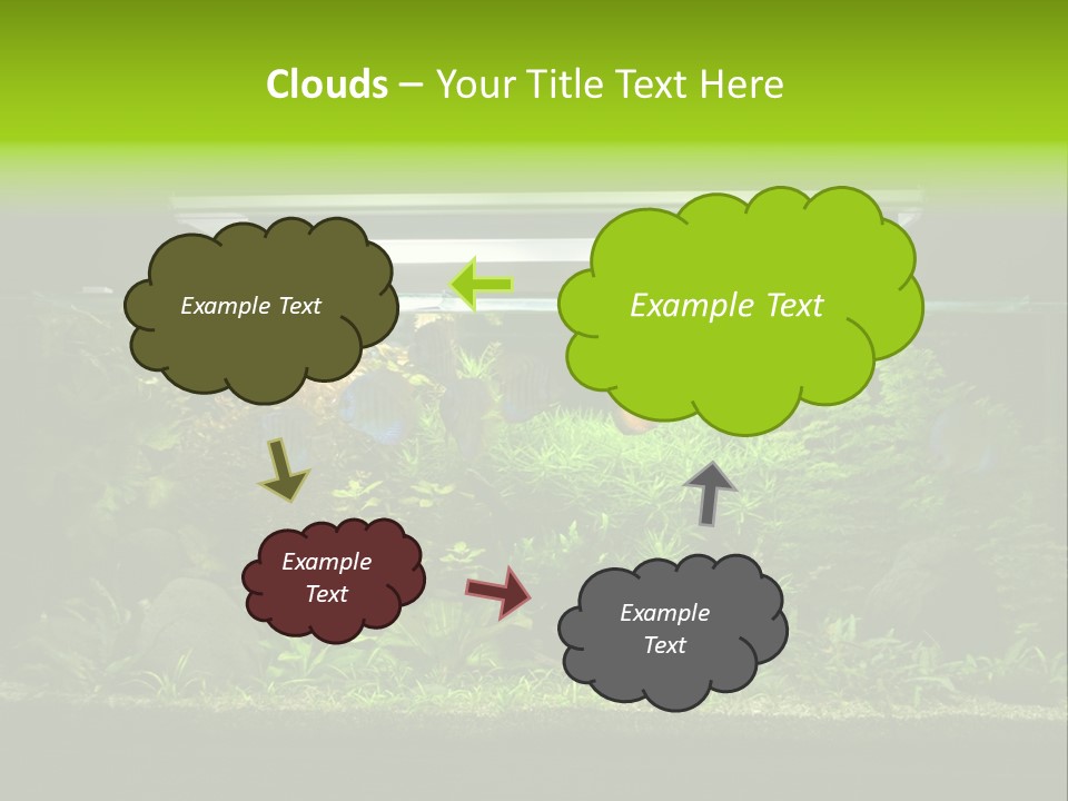 A Fish Tank Filled With Lots Of Green Plants PowerPoint Template