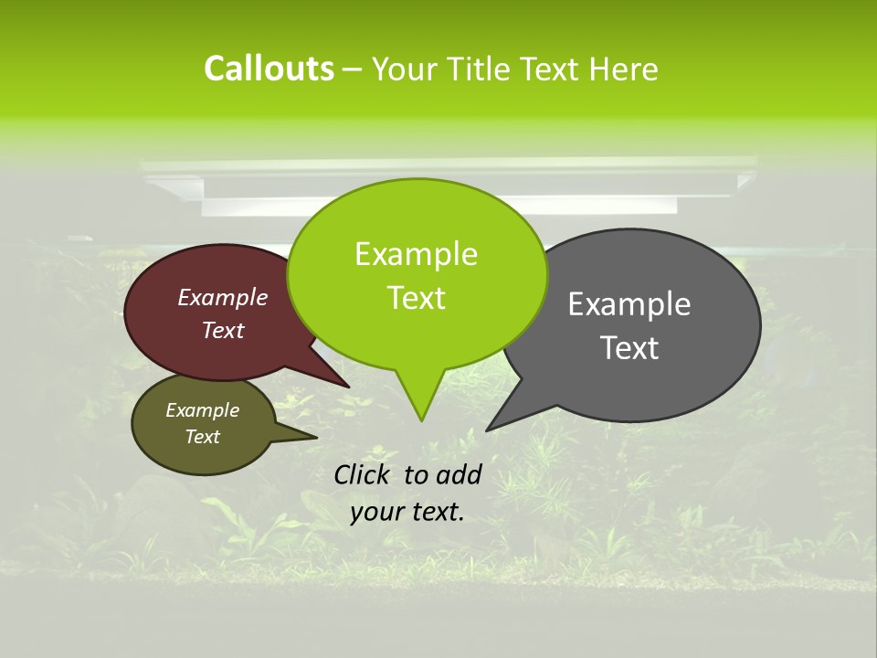 A Fish Tank Filled With Lots Of Green Plants PowerPoint Template