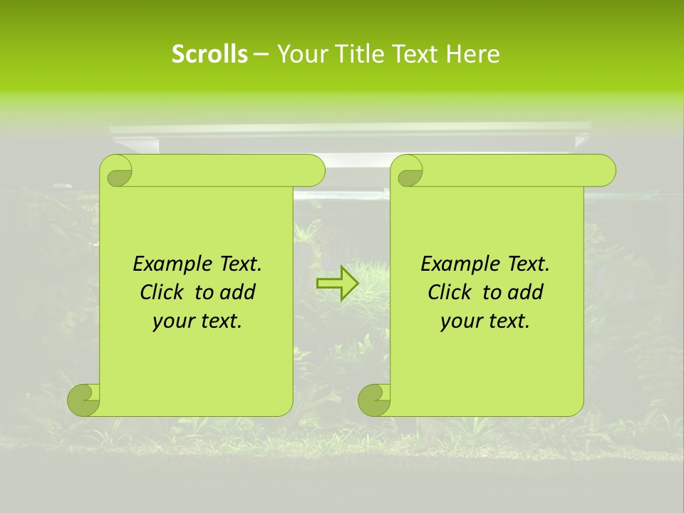 A Fish Tank Filled With Lots Of Green Plants PowerPoint Template