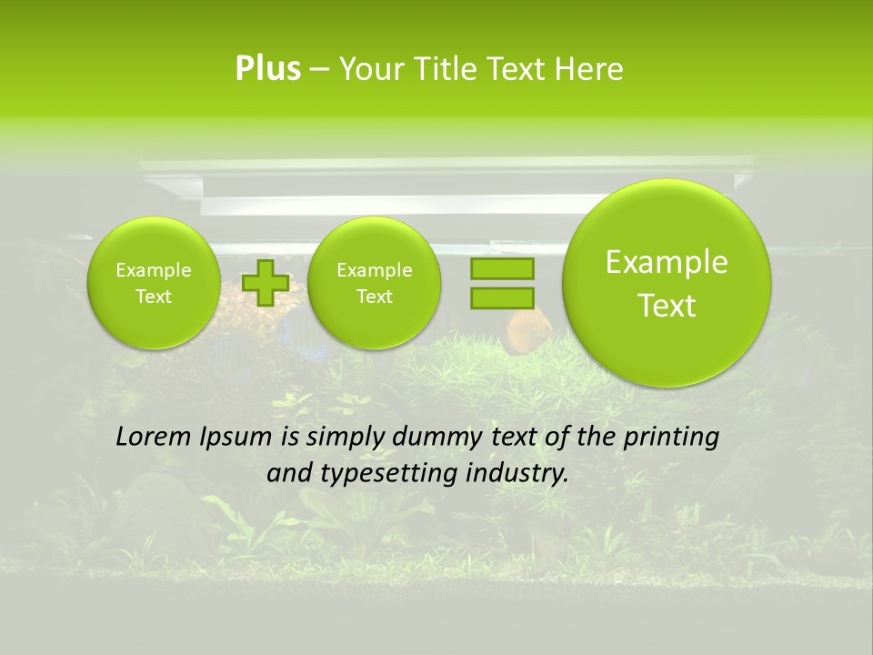 A Fish Tank Filled With Lots Of Green Plants PowerPoint Template