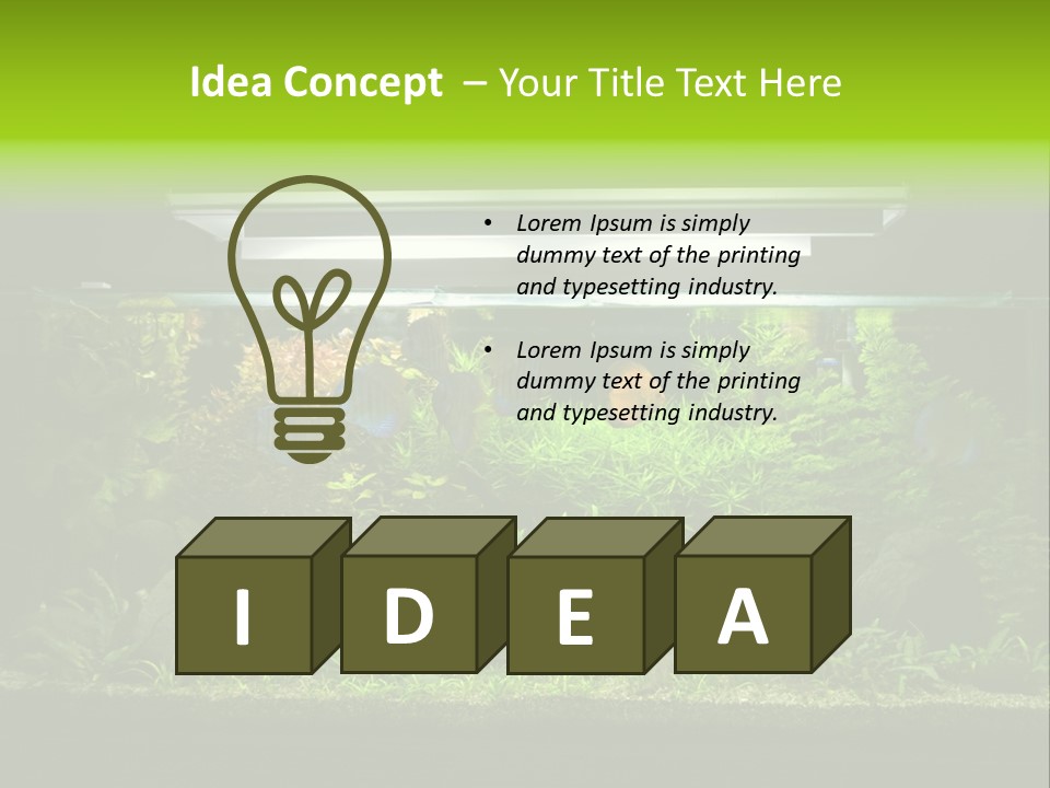 A Fish Tank Filled With Lots Of Green Plants PowerPoint Template