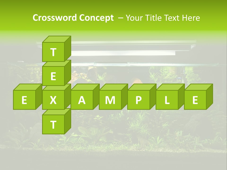A Fish Tank Filled With Lots Of Green Plants PowerPoint Template