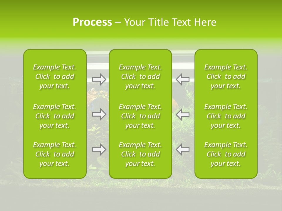 A Fish Tank Filled With Lots Of Green Plants PowerPoint Template