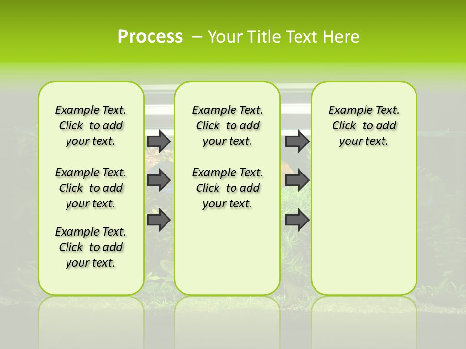 A Fish Tank Filled With Lots Of Green Plants PowerPoint Template