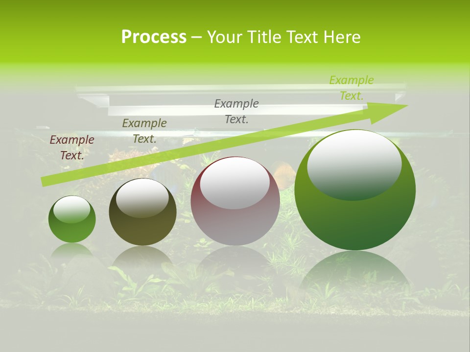 A Fish Tank Filled With Lots Of Green Plants PowerPoint Template