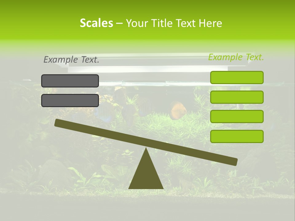 A Fish Tank Filled With Lots Of Green Plants PowerPoint Template