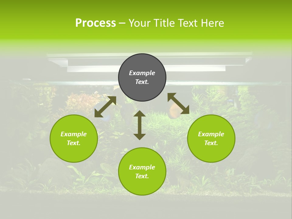 A Fish Tank Filled With Lots Of Green Plants PowerPoint Template