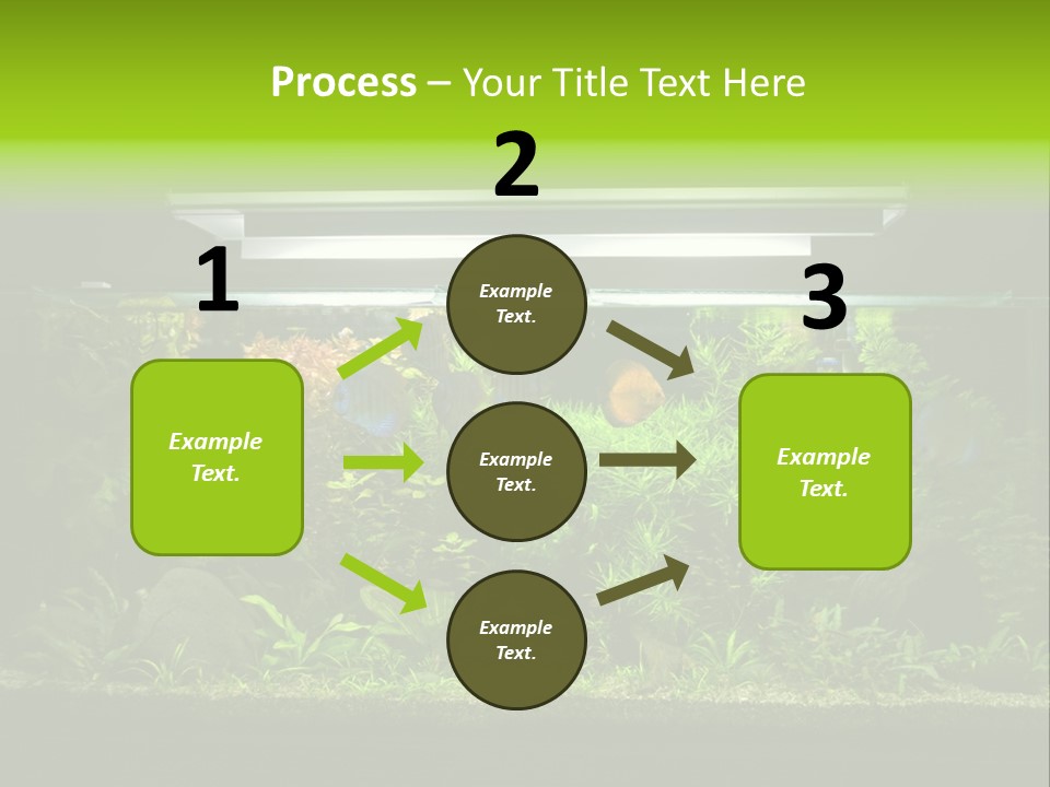 A Fish Tank Filled With Lots Of Green Plants PowerPoint Template