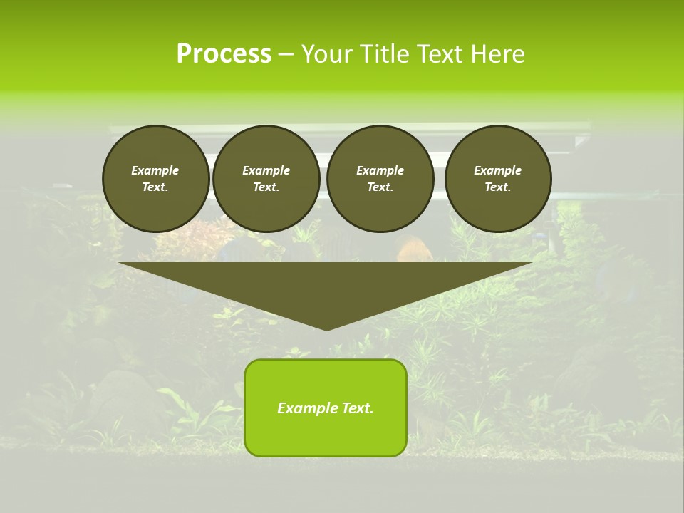 A Fish Tank Filled With Lots Of Green Plants PowerPoint Template