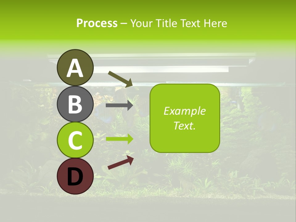 A Fish Tank Filled With Lots Of Green Plants PowerPoint Template