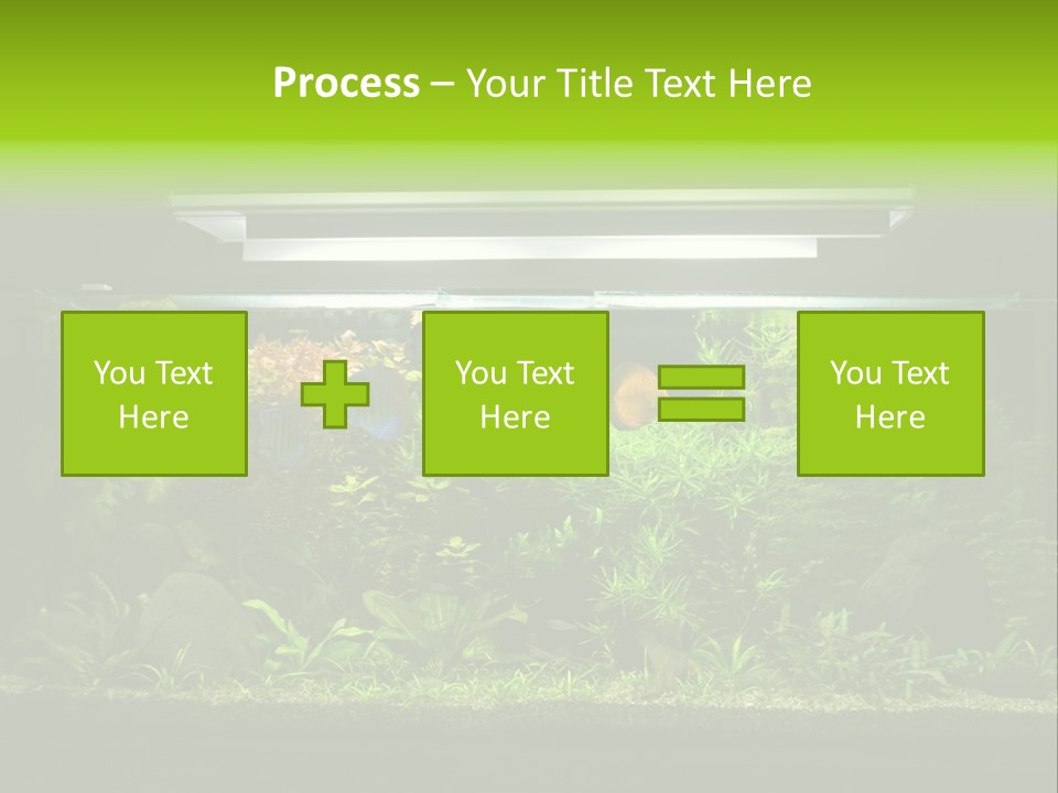 A Fish Tank Filled With Lots Of Green Plants PowerPoint Template