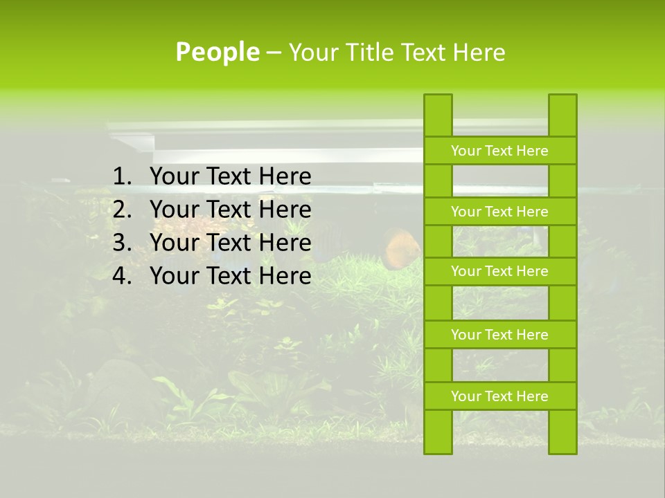 A Fish Tank Filled With Lots Of Green Plants PowerPoint Template