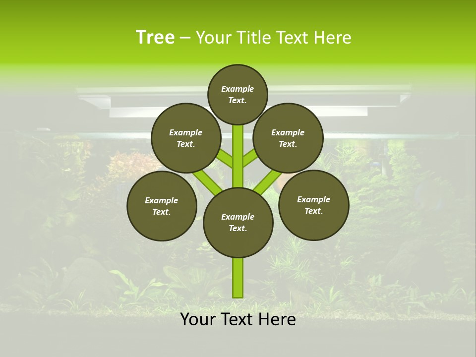 A Fish Tank Filled With Lots Of Green Plants PowerPoint Template