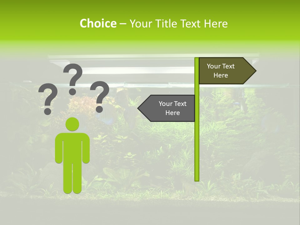 A Fish Tank Filled With Lots Of Green Plants PowerPoint Template