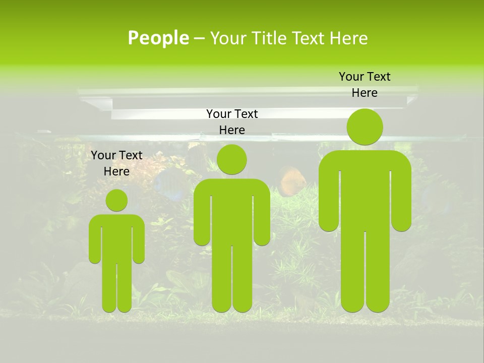 A Fish Tank Filled With Lots Of Green Plants PowerPoint Template