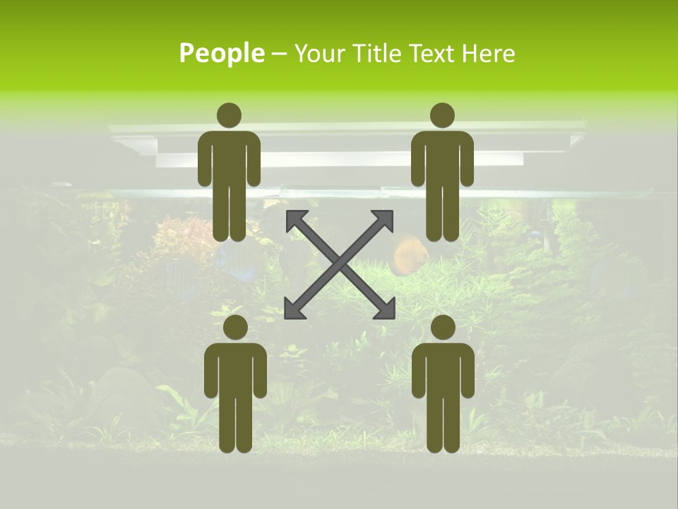 A Fish Tank Filled With Lots Of Green Plants PowerPoint Template