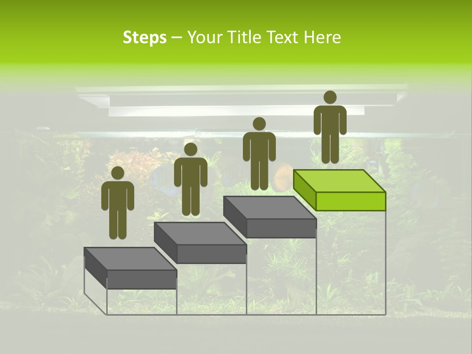 A Fish Tank Filled With Lots Of Green Plants PowerPoint Template