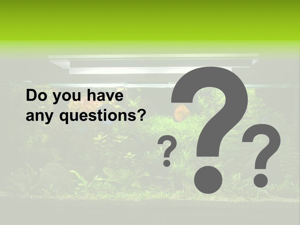 A Fish Tank Filled With Lots Of Green Plants PowerPoint Template