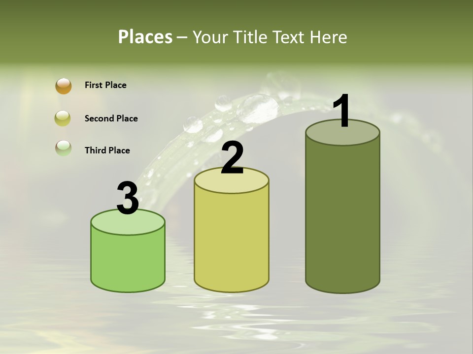 Green Grass With Raindrops Background PowerPoint Template