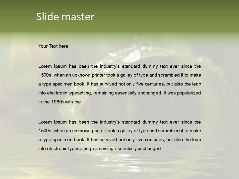 Green Grass With Raindrops Background PowerPoint Template