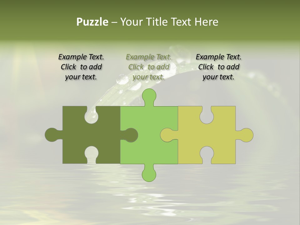 Green Grass With Raindrops Background PowerPoint Template