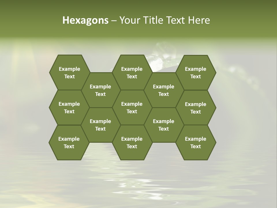 Green Grass With Raindrops Background PowerPoint Template