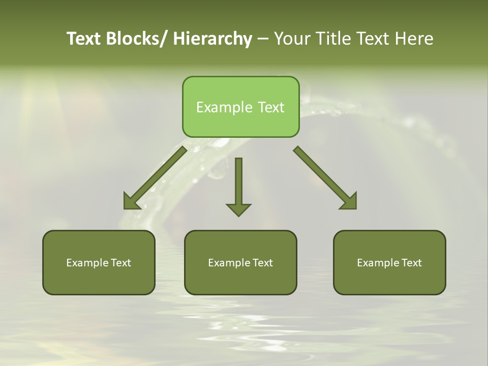 Green Grass With Raindrops Background PowerPoint Template