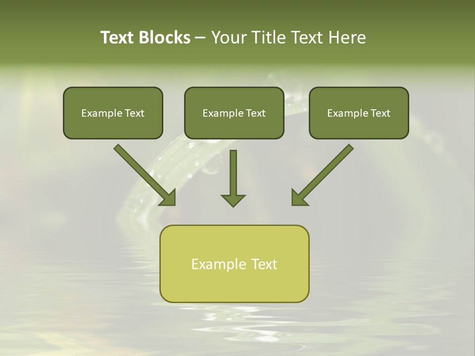 Green Grass With Raindrops Background PowerPoint Template
