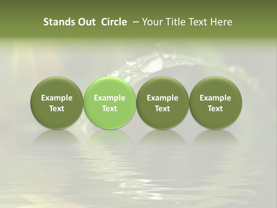 Green Grass With Raindrops Background PowerPoint Template