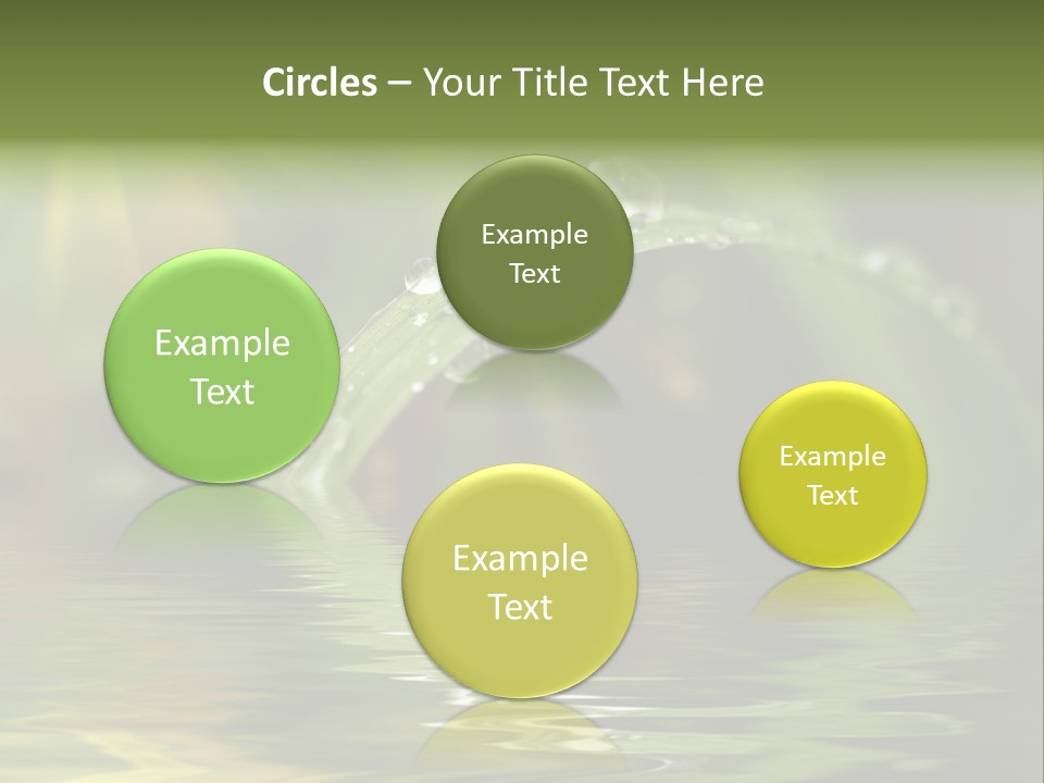 Green Grass With Raindrops Background PowerPoint Template