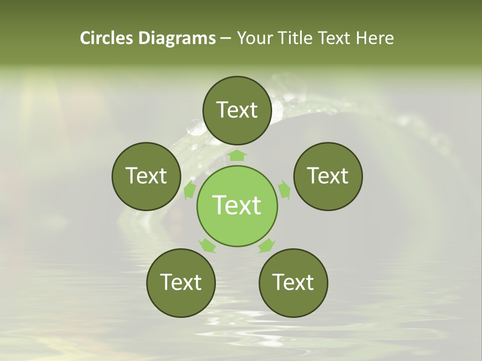 Green Grass With Raindrops Background PowerPoint Template