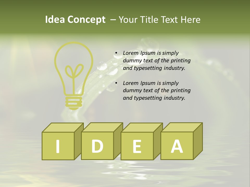 Green Grass With Raindrops Background PowerPoint Template