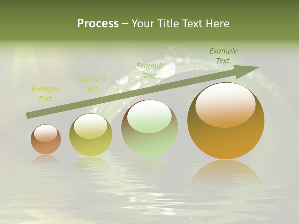 Green Grass With Raindrops Background PowerPoint Template